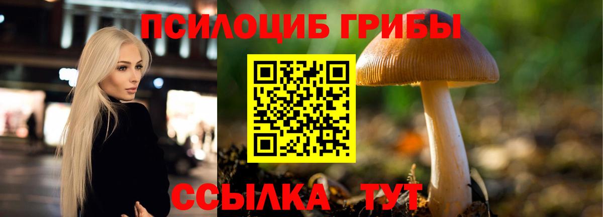 Псилоцибиновые грибы Magic Shrooms Ногинск